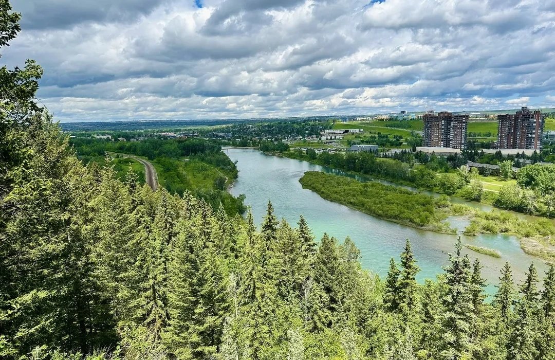 Wildwood Calgary Community